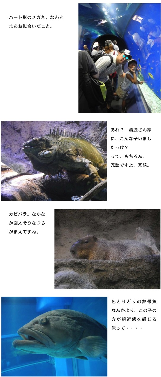 2014.10.07--5.jpg