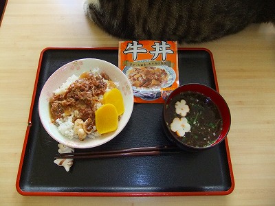 牛丼