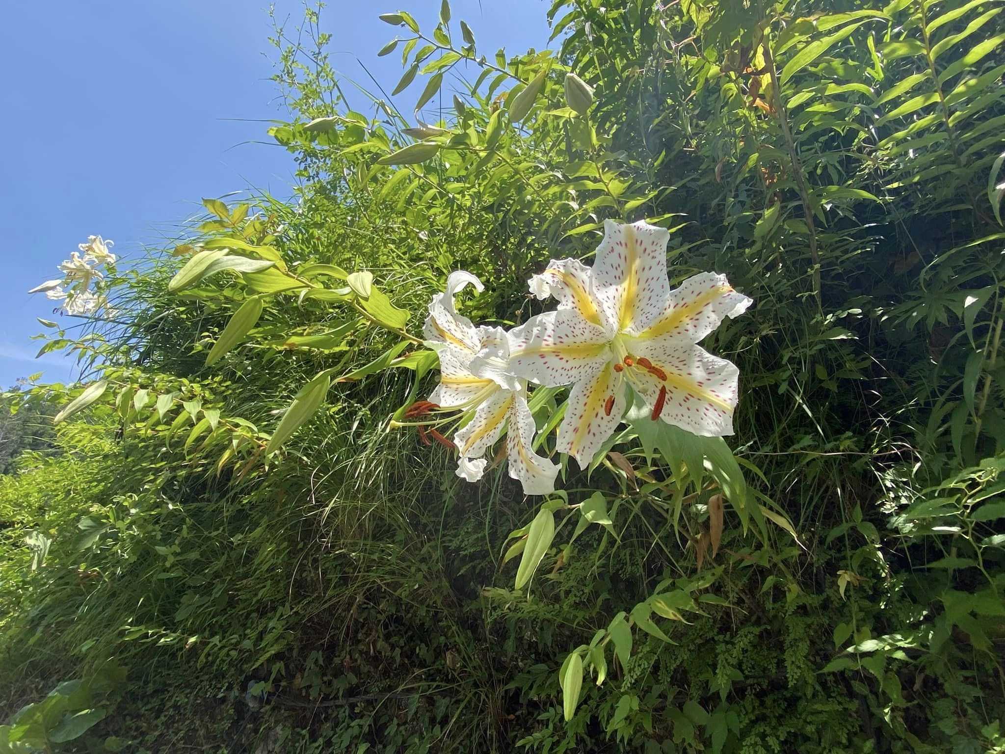 醍醐山と下部（しもべ）温泉
