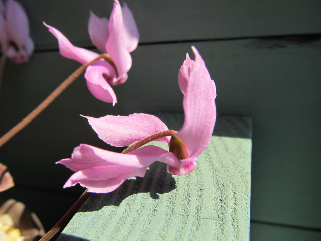 oct06 005.JPG