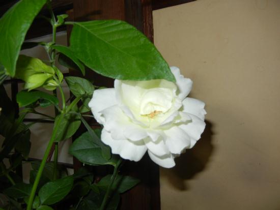 DSCN5890.JPG