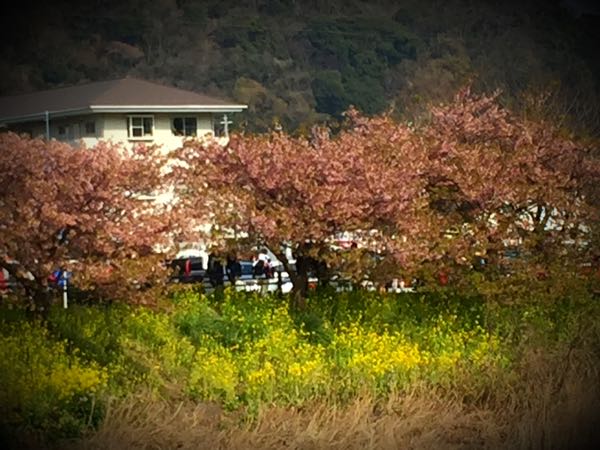 rblog-20160304152541-02.jpg