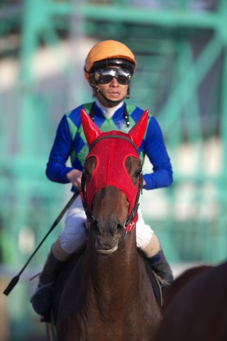 レース後