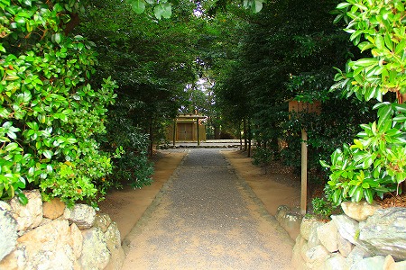 IMG_9867.jpg