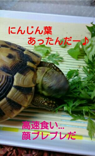 rblog-20151127142809-01.jpg