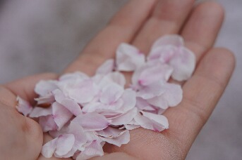 ちっぴーH22.3.29 019.jpg