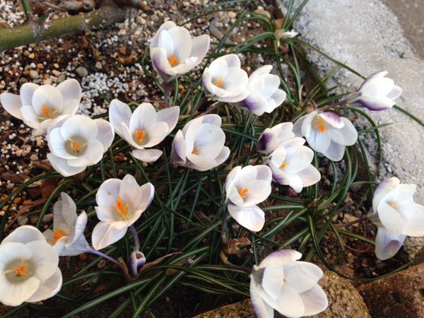 rblog-20160401200319-02.jpg