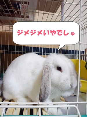 ジメジメいやー