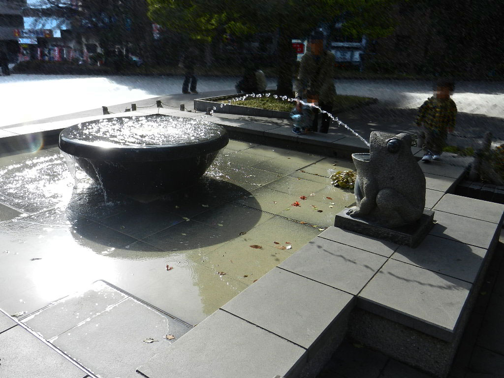 frog.jpg