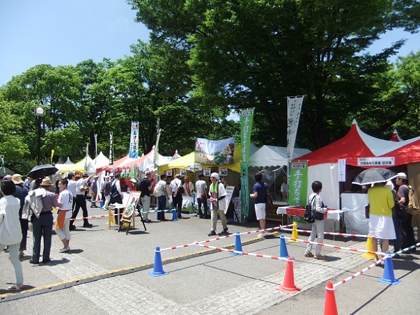 大江戸和宴・代々木公園の会場２