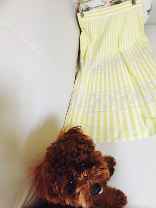 rblog-20160819181013-01.jpg