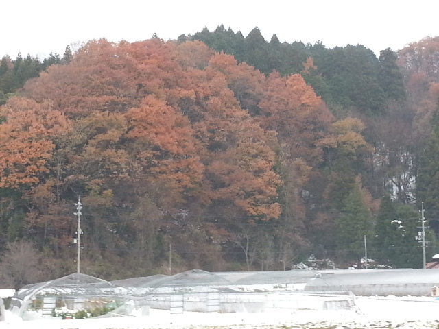 20131201大山3.jpg