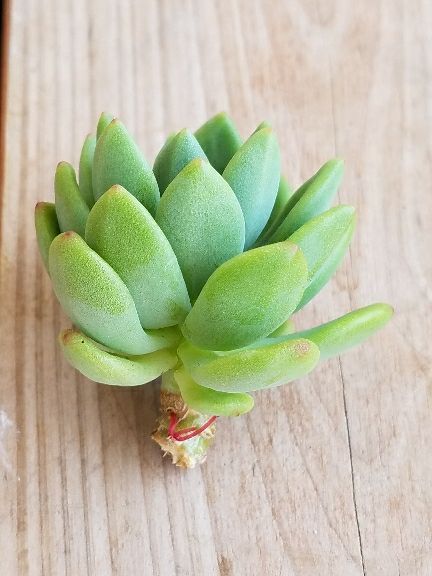 rblog-20180430124221-05.jpg