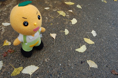 s-DSC_1121.jpg