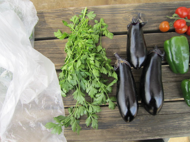 20120630茄子とイタリアンパセリ.jpg