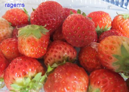 4 strawbery.jpg