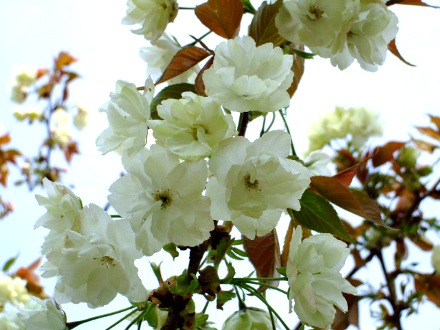 DSCF6372.JPG