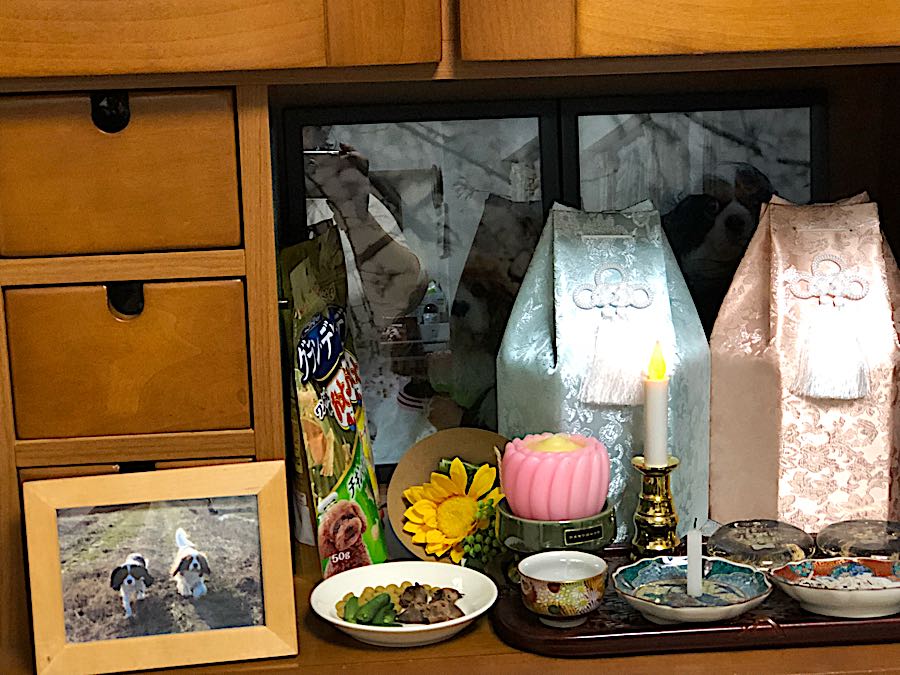 rblog-20181006212855-01.jpg