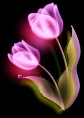 tulip-b1s - コピー - コピー.jpg