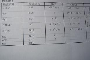 P1050066.JPG