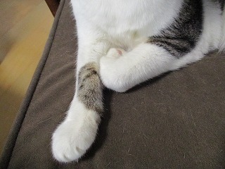 IMG_0078ss.jpg
