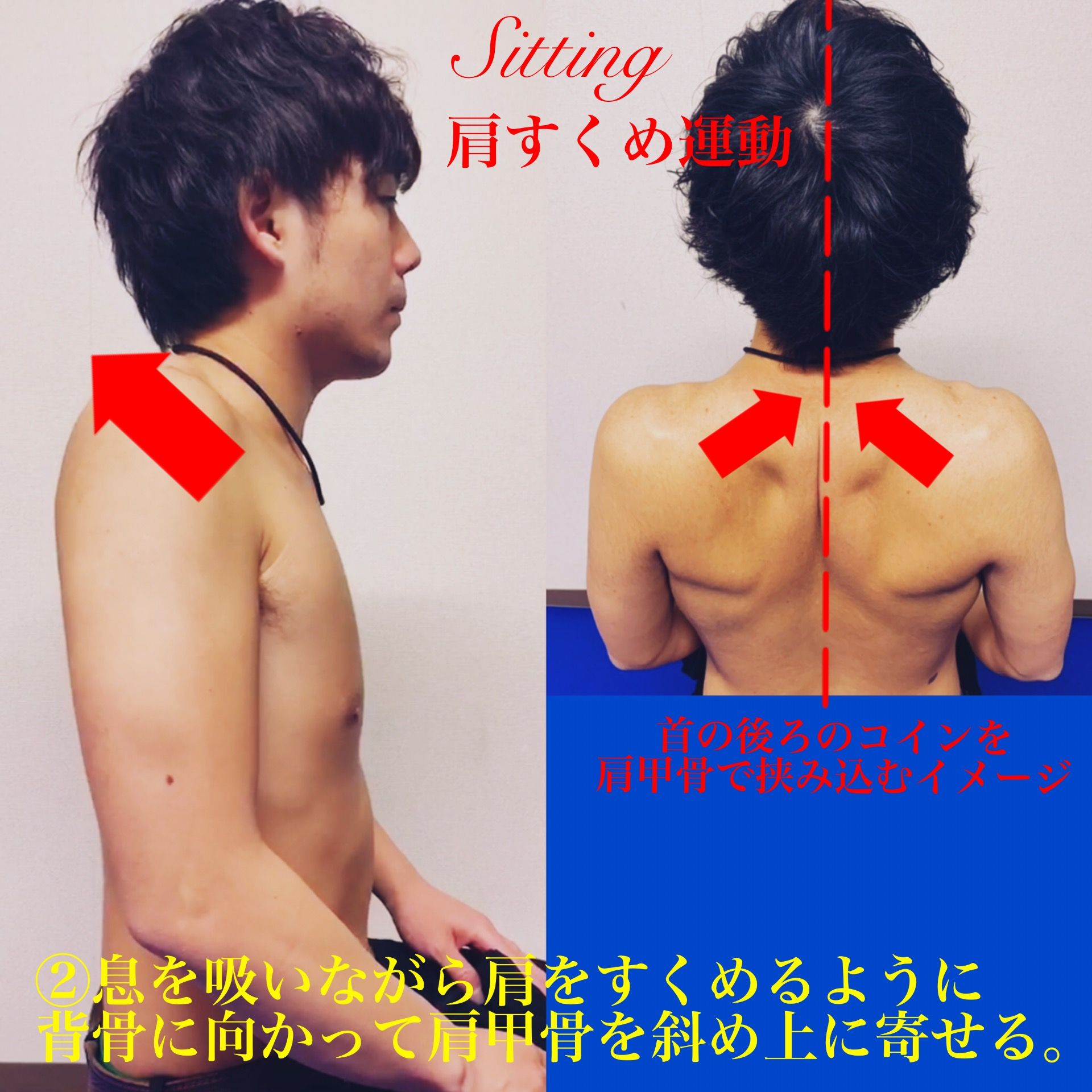 肩こり解消に 胸張り 肩すくめの運動 理学療法士maechanのコンディショニングブログ 楽天ブログ
