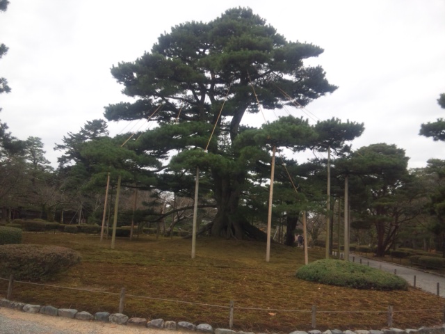 兼六園