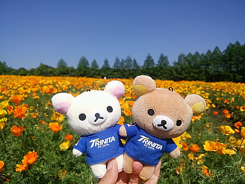 IMG_20160504_092030.jpg