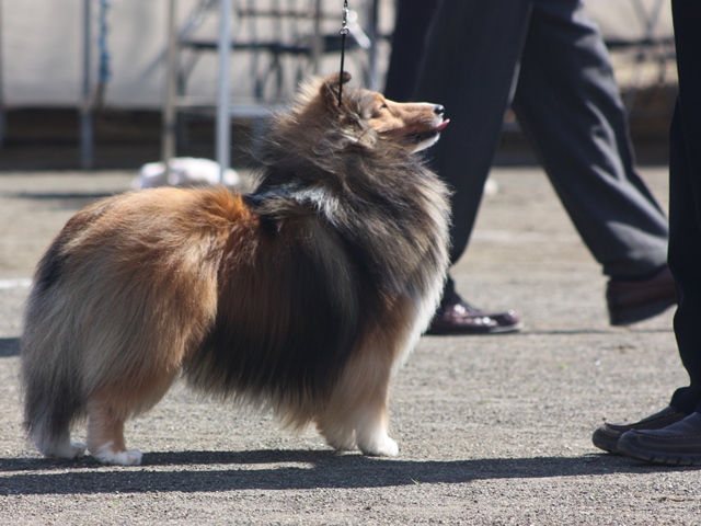 IMG_1036 - コピー.JPG
