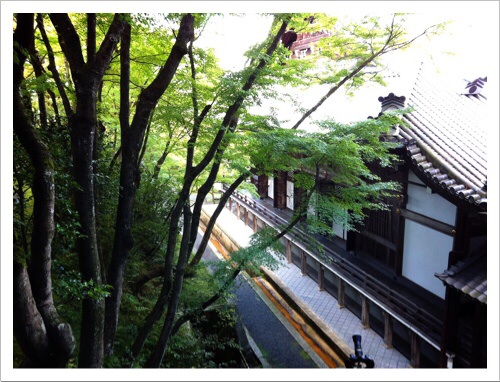 永観堂 禅林寺