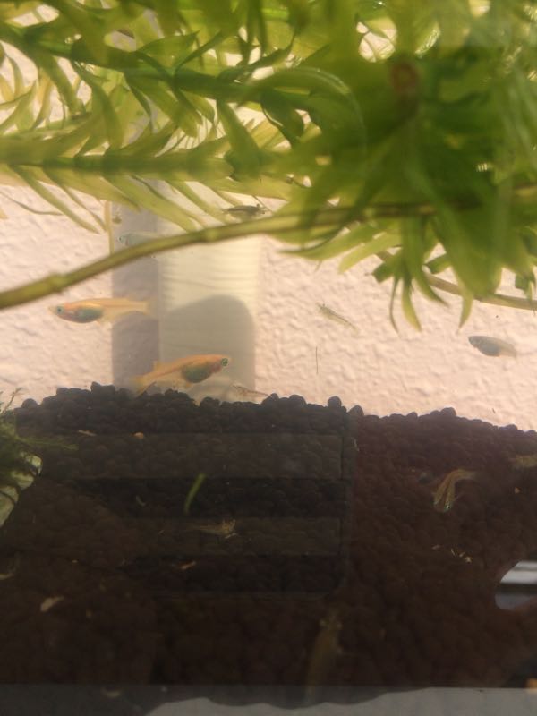 rblog-20150912100433-01.jpg