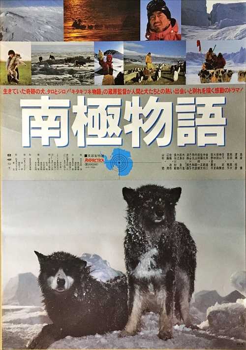 高倉健 南極物語 DVD ボックス - 日本映画