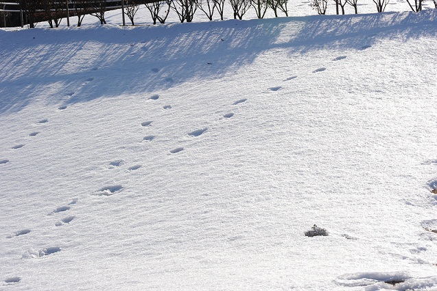 2013.1.17 014.JPG