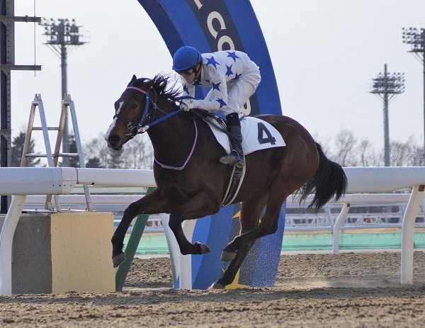 今年も２歳能力検査がスタート 地方競馬の楽天競馬 日替わりライターブログ 楽天ブログ