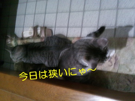 20120911_4.jpg