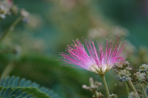 20140618_19.jpg