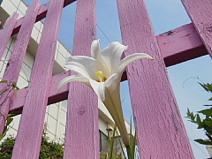 conv0419.JPG