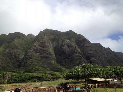 kuaroa
