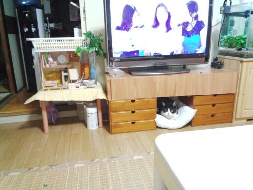 rblog-20140919085518-03.jpg