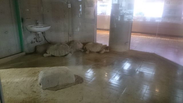 2015-06-12 19.07.46.jpg