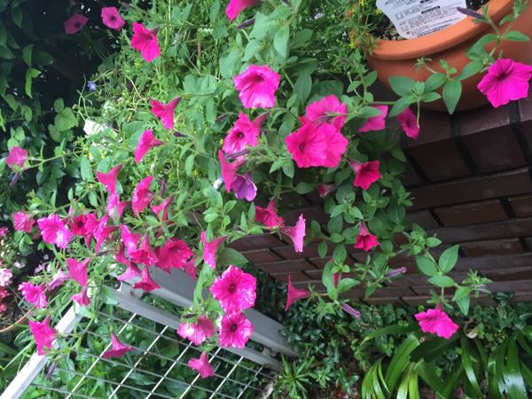 rblog-20160530191918-06.jpg