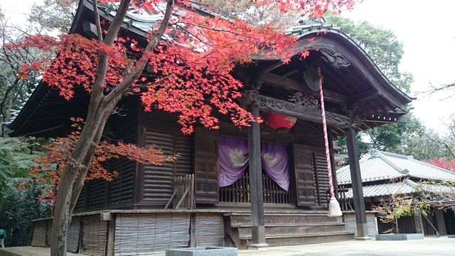2015-11-22 09.18.10.jpg