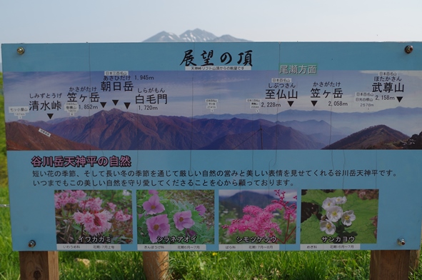 IMGP1127.JPG