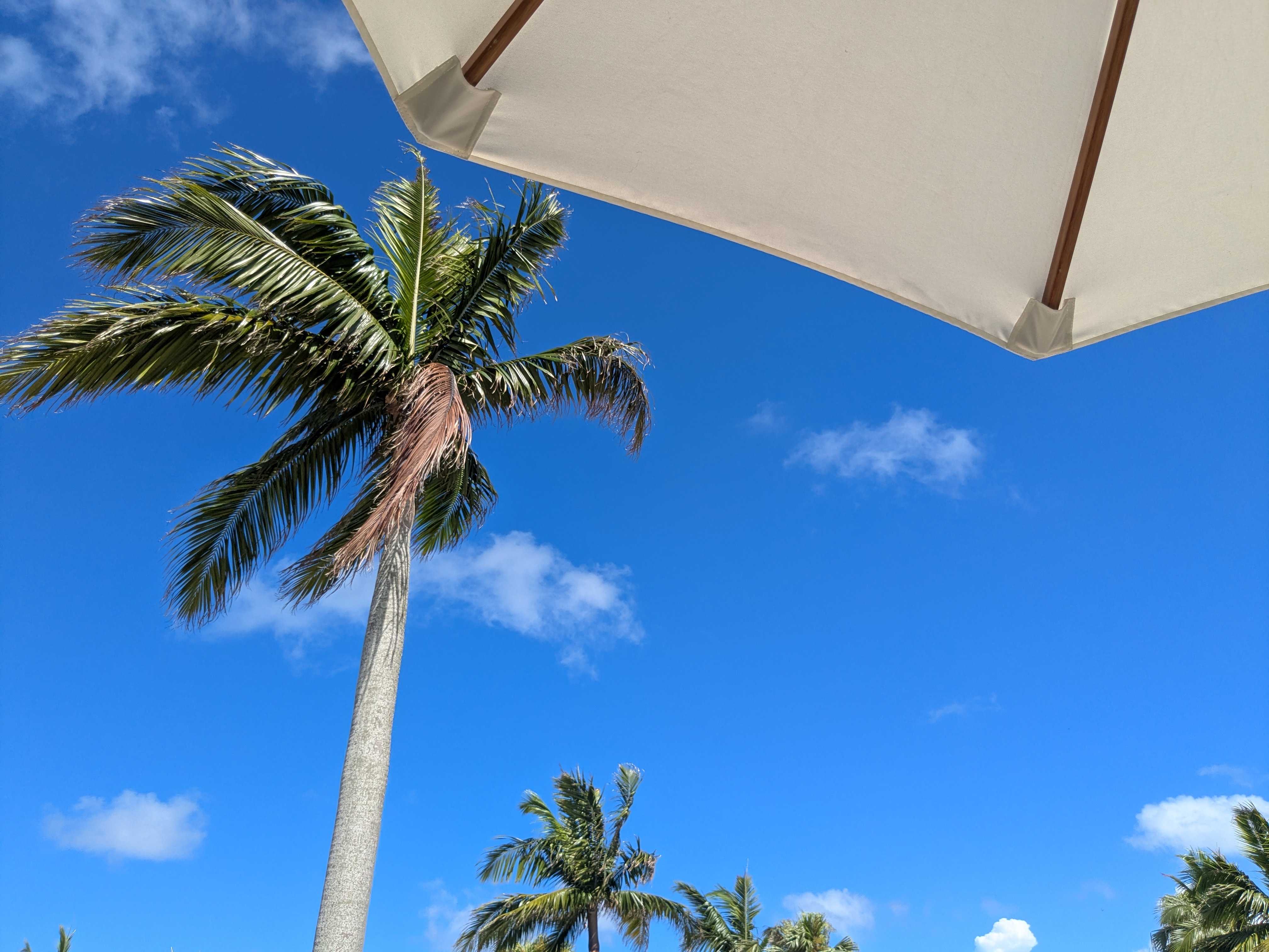 フサキビーチリゾート ビーチプールの椅子からの風景