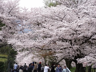 インクライン５.jpg