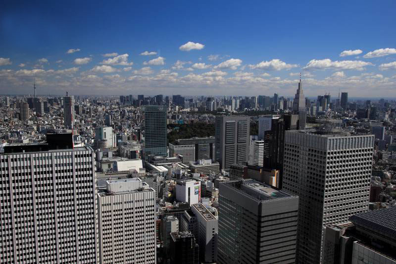 東京市街俯瞰_005スカイツリー・東京タワー_1_1.jpg