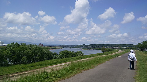 IMG_20150502_123349.jpg