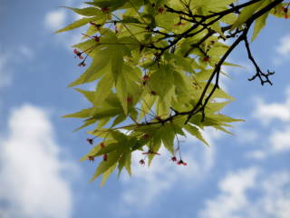 CIMG0228.JPG