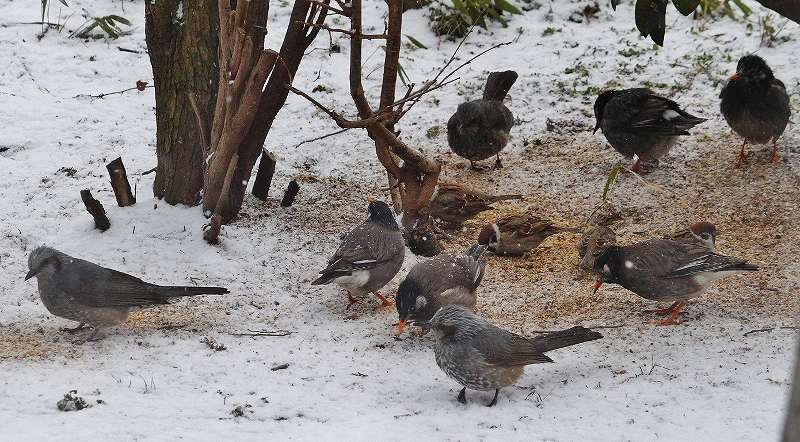 IMG_4756 (800x442).jpg