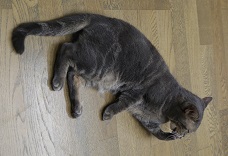 5DA_7229-30.jpg